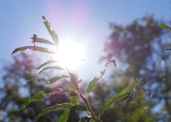 To będzie upalny tydzień. Temperatura powyżej 30 już od poniedziałku [PROGNOZA]