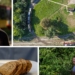 TOP 7 łodzianizmów. Jak się mówi w gwarze łódzkiej?