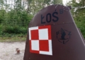 Łoś z dłutowskiego lasu odnowiony, fot. A. Łużyński