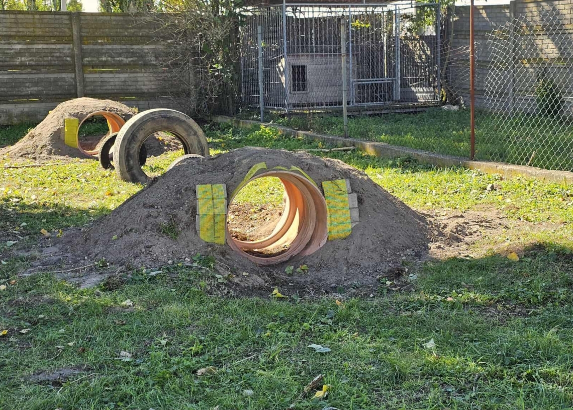 Nowy tor przeszkód w schronisku w Piotrkowie Trybunalskim. "Żeby pieski miały się gdzie wybawić"