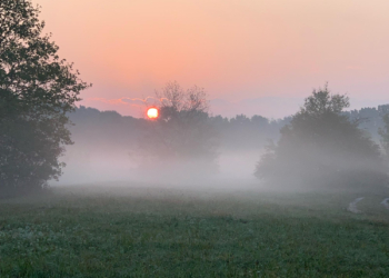 Pogoda na czwartek. Wysoka temperatura i wieczorna mgła