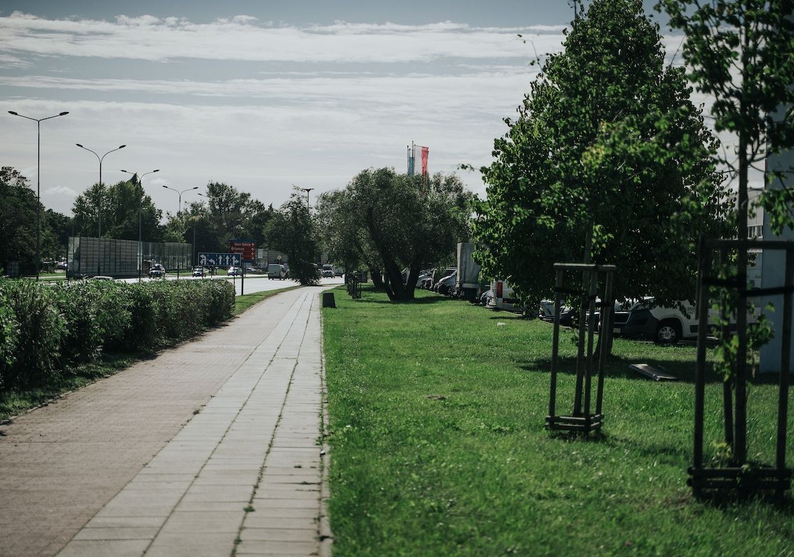 Jesienne nasadzenia - Łódź sadzi ponad 2000 nowych drzew 1 Jesienne nasadzenia - Łódź sadzi ponad 2000 nowych drzew