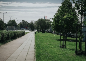 Jesienne nasadzenia - Łódź sadzi ponad 2000 nowych drzew