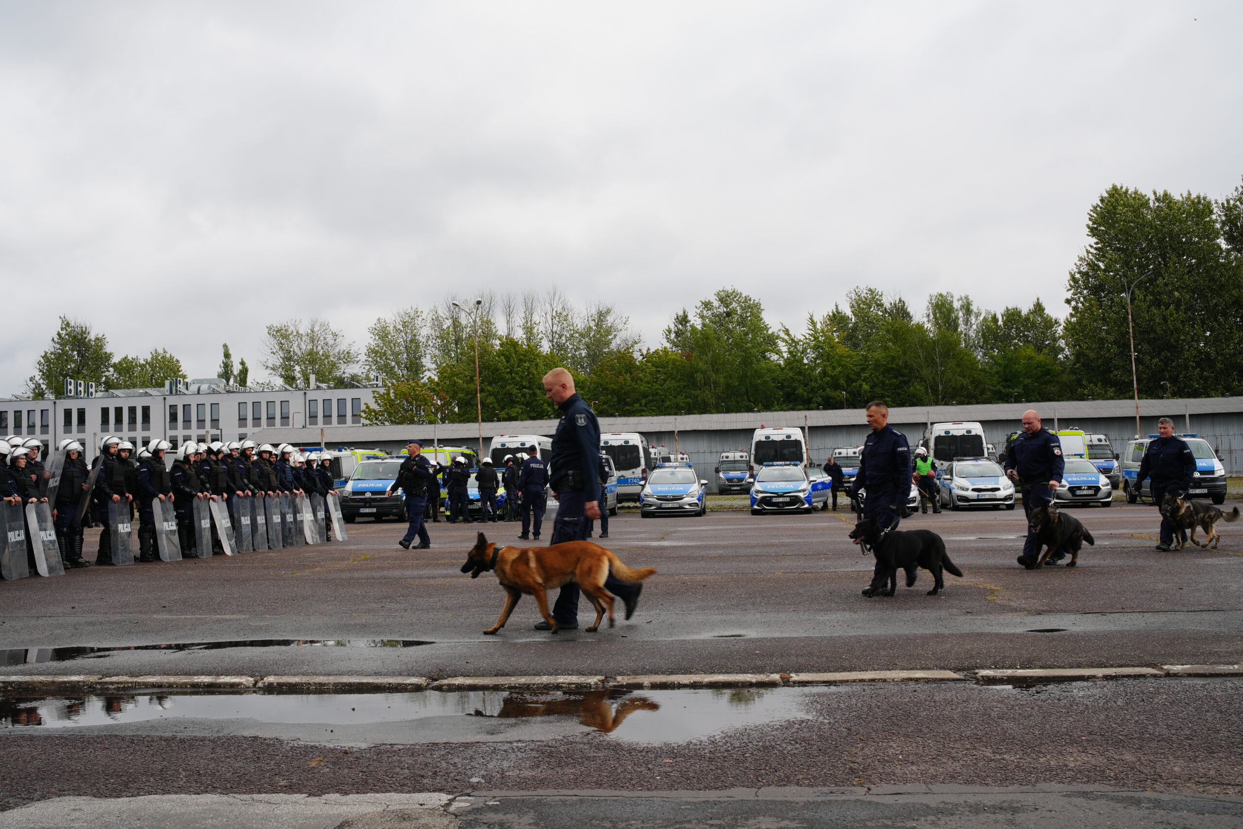 Konie i psy na policyjnym szkoleniu. Zwierzęta wspierają funkcjonariuszy 4 DSC01866 scaled