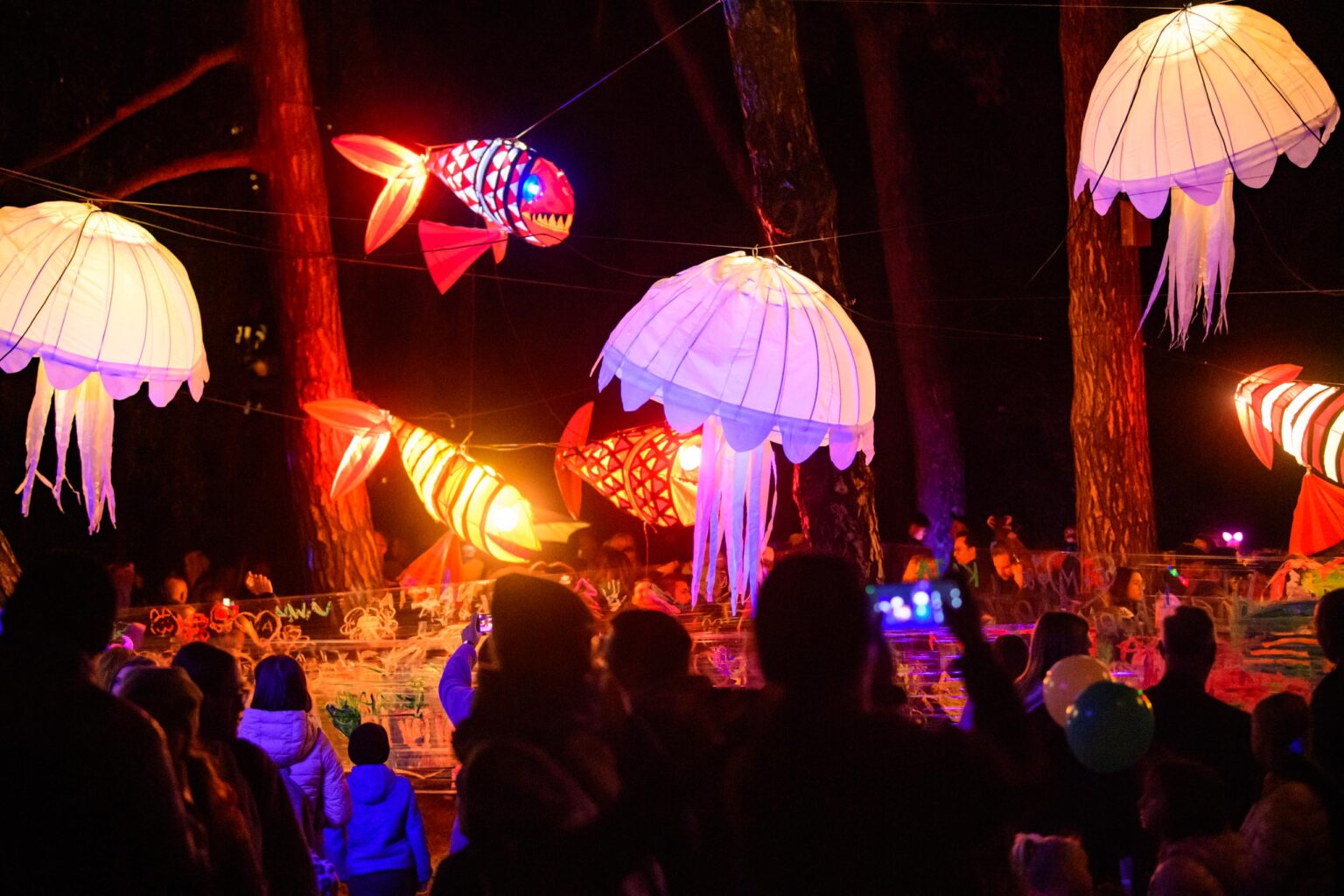 Festiwal Światła 2025 Dzień Drugi Fot Sebastian Szwajkowski_42 Festiwal Swiatla 2025 Dzien Drugi Fot Sebastian Szwajkowski 42