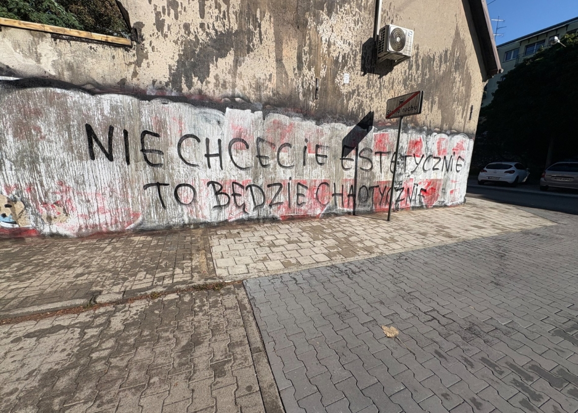 Wandale zniszczyli elewację jej domu. Radny uruchamia pomoc poszkodowanej kobiecie ze Szpitalnej w Łodzi