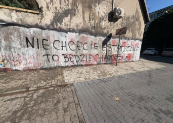 Wandale zniszczyli elewację jej domu. Radny uruchamia pomoc poszkodowanej kobiecie ze Szpitalnej w Łodzi