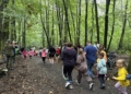 IMG 2841 scaled