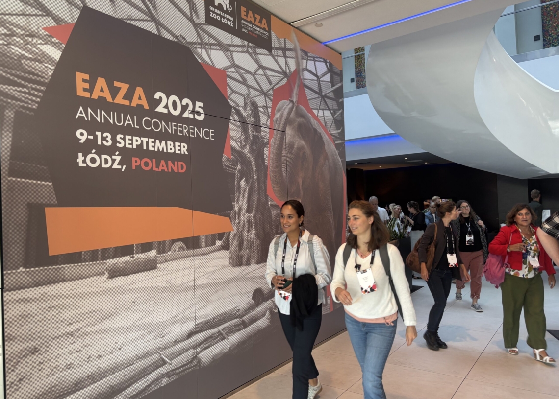 Konferencja EAZA 2025. Łódź stała się centrum debaty o ochronie przyrody 1 Konferencja EAZA 2025. Łódź stała się centrum debaty o ochronie przyrody