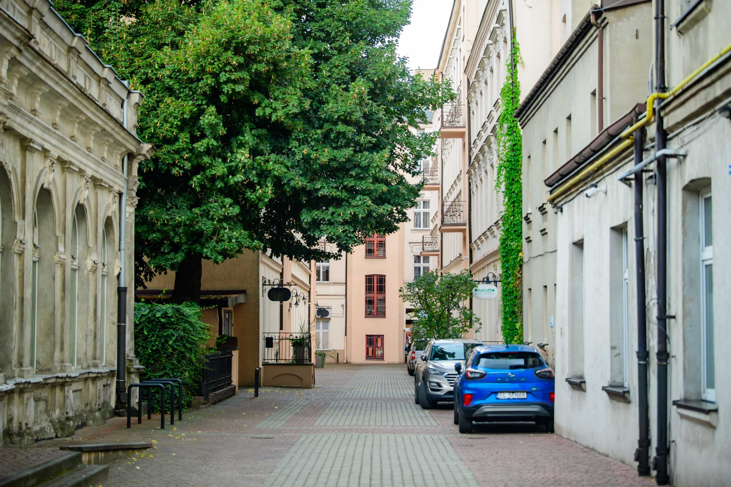 Szlakiem łódzkich podwórek. Piotrkowska 114