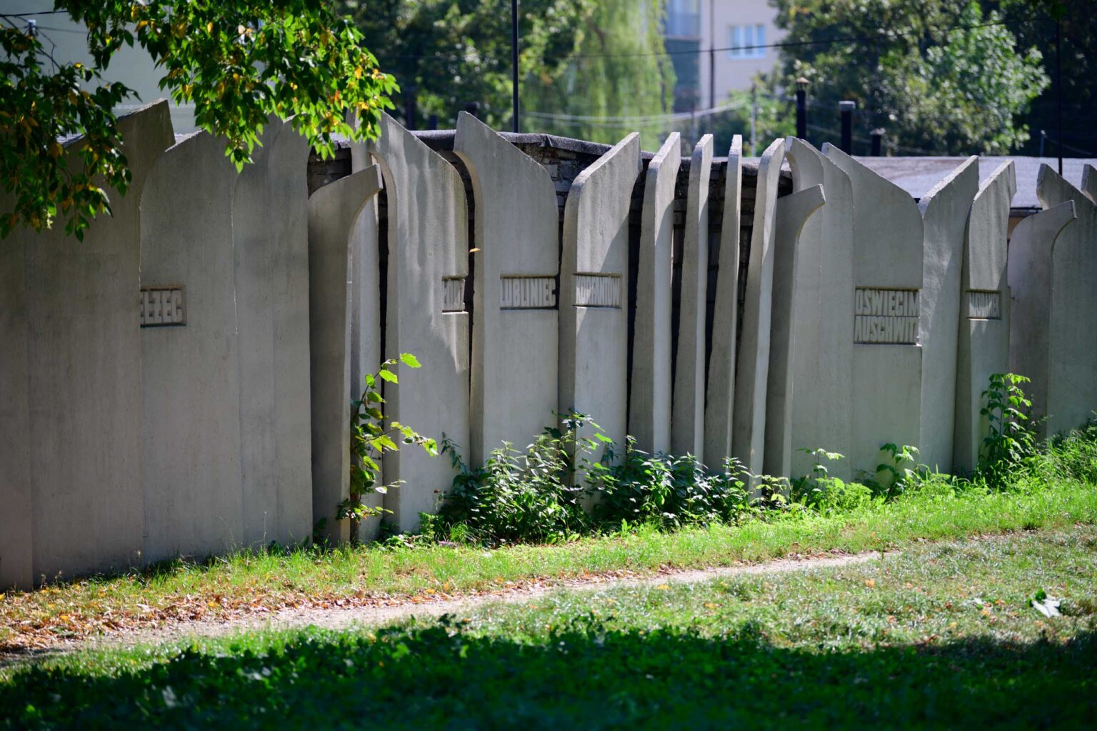 Narodowy Dzień Pamięci Polskich dzieci wojny Fot Sebastian Szwajkowski (9) Narodowy Dzien Pamieci Polskich dzieci wojny Fot Sebastian Szwajkowski 9