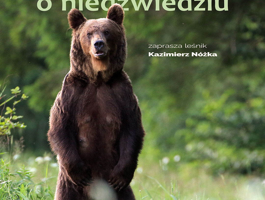 Strefa kultury | Opowieści o niedźwiedziu [PODCAST]