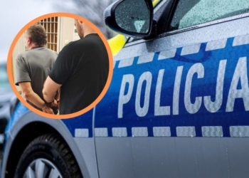Seryjny złodziej sklepowy w Zgierzu