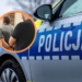 Seryjny złodziej sklepowy w Zgierzu. Dokonał kradzieży na kwotę ponad 20 tys. zł 5 Seryjny złodziej sklepowy w Zgierzu