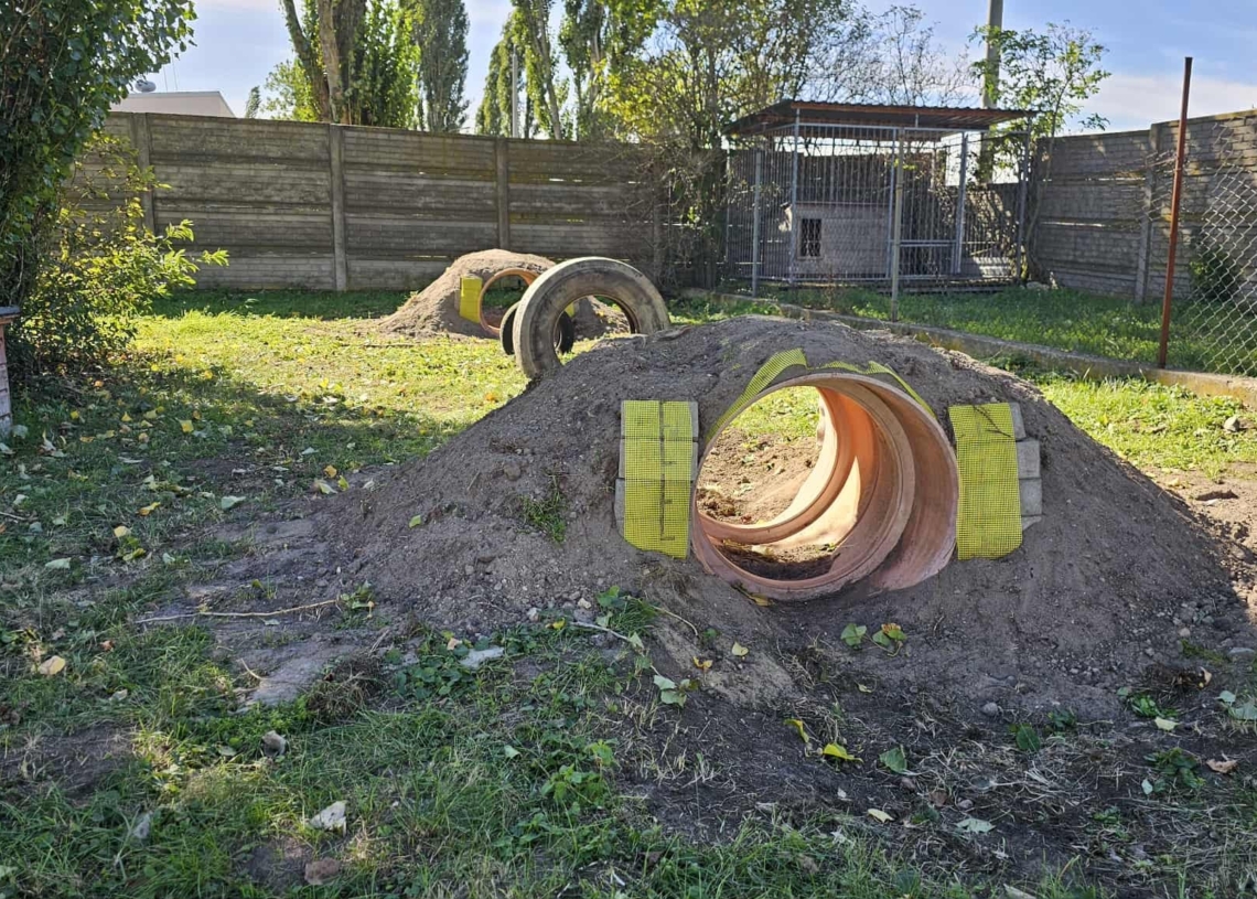 Nowy tor przeszkód w schronisku w Piotrkowie Trybunalskim. "Żeby pieski miały się gdzie wybawić"