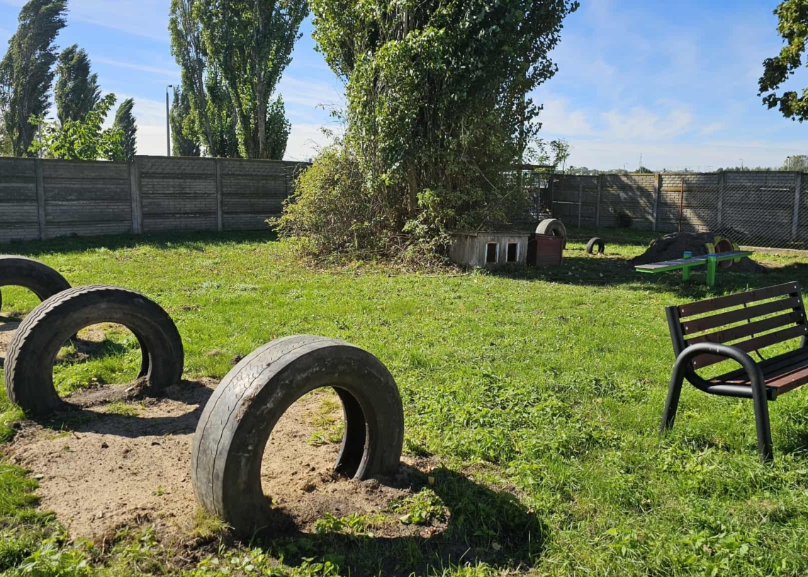 Nowy tor przeszkód w schronisku w Piotrkowie Trybunalskim. "Żeby pieski miały się gdzie wybawić"