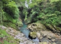 ff5b76f6 2fa9 408d aa03 214faaa580ad