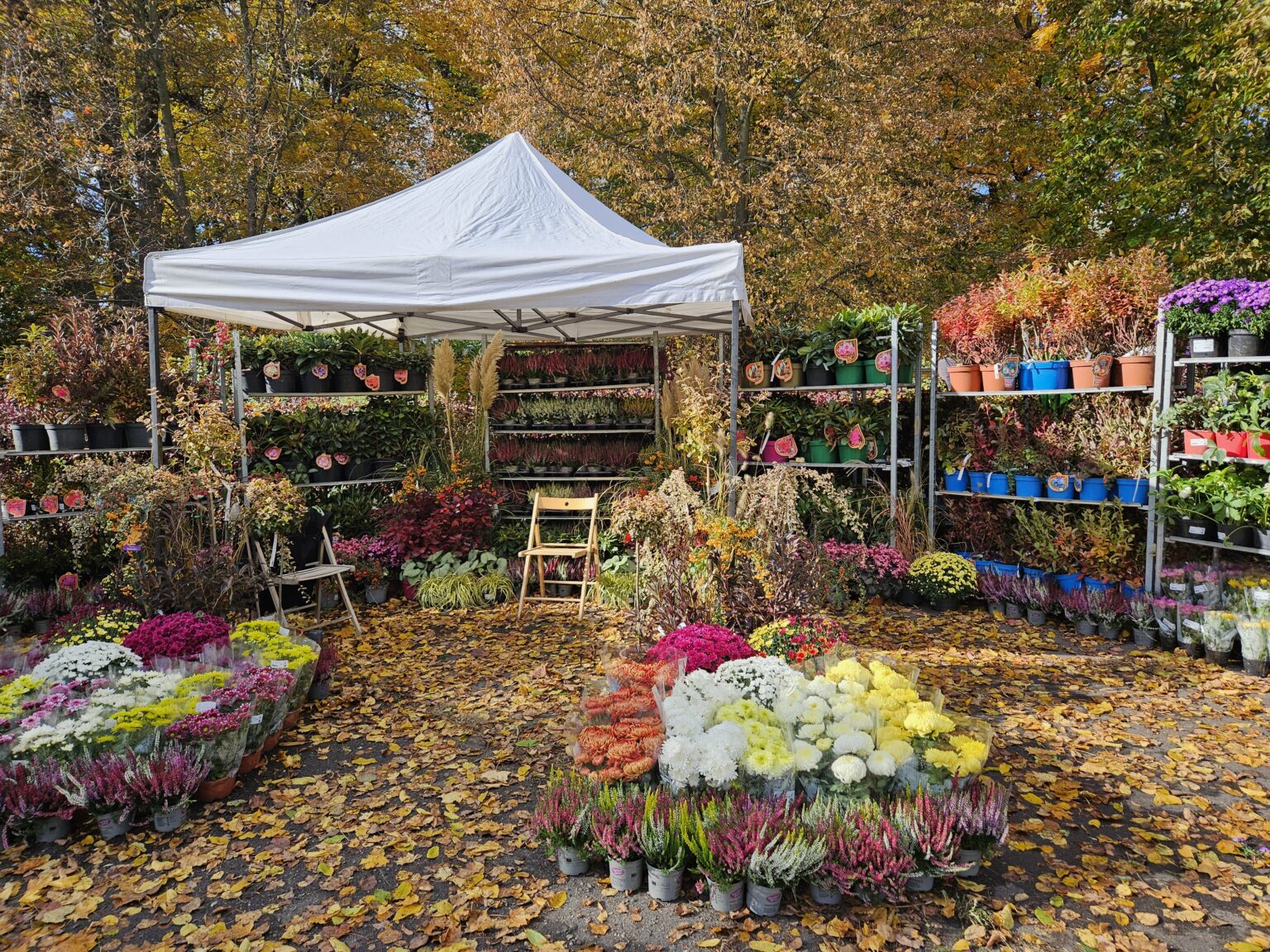 Festiwal Jesieni w Ogrodzie Botanicznym w Łodzi, fot. Eliza Cichosz 20251019 130706
