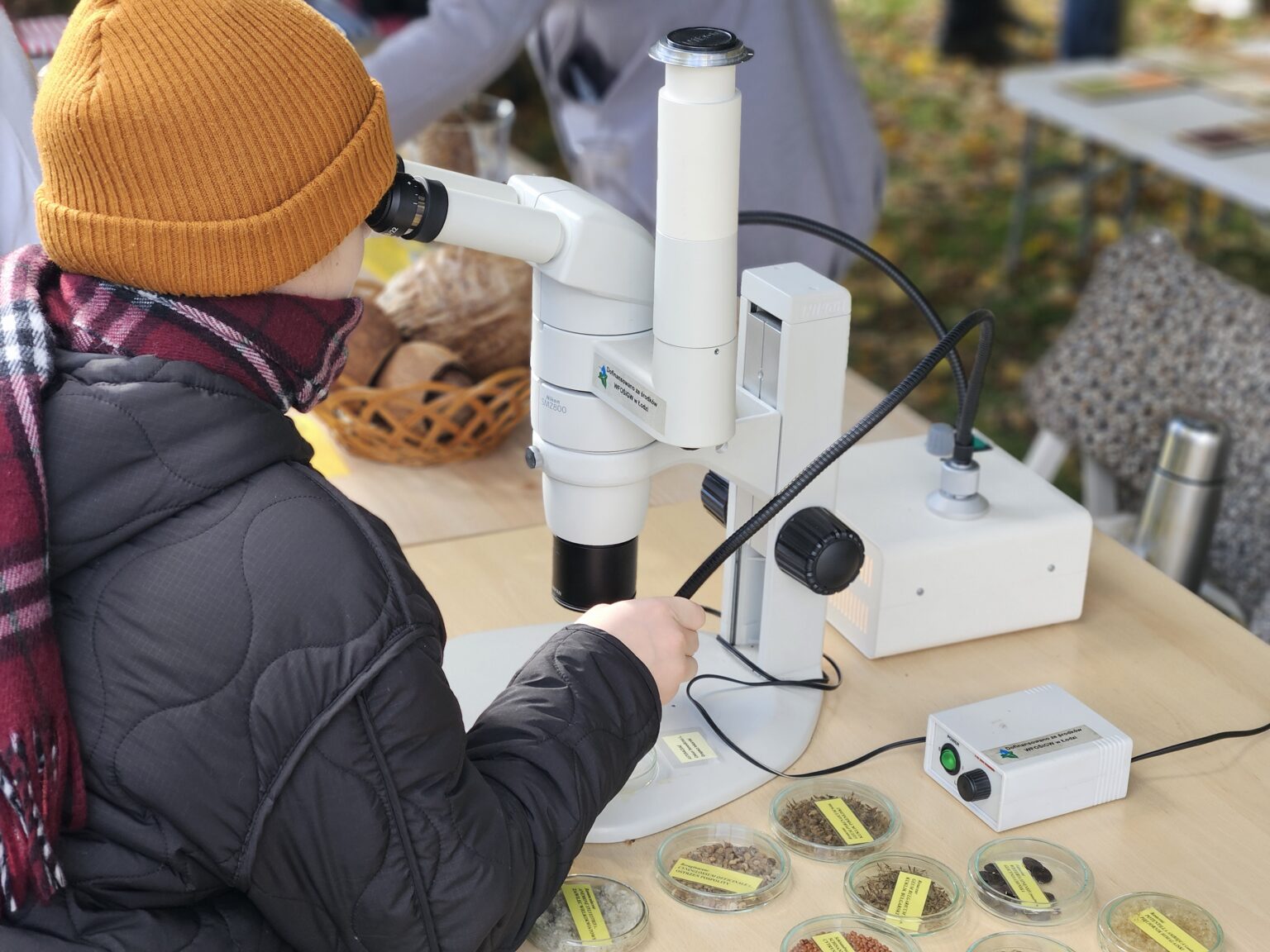 Festiwal Jesieni w Ogrodzie Botanicznym w Łodzi, fot. Eliza Cichosz 20251019 130957