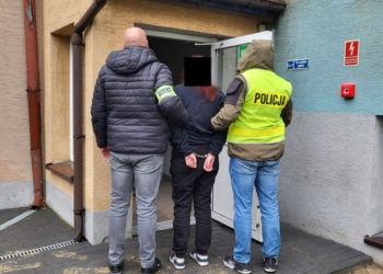 Krwawa awantura w Wieluniu. 19-latka w rękach policji