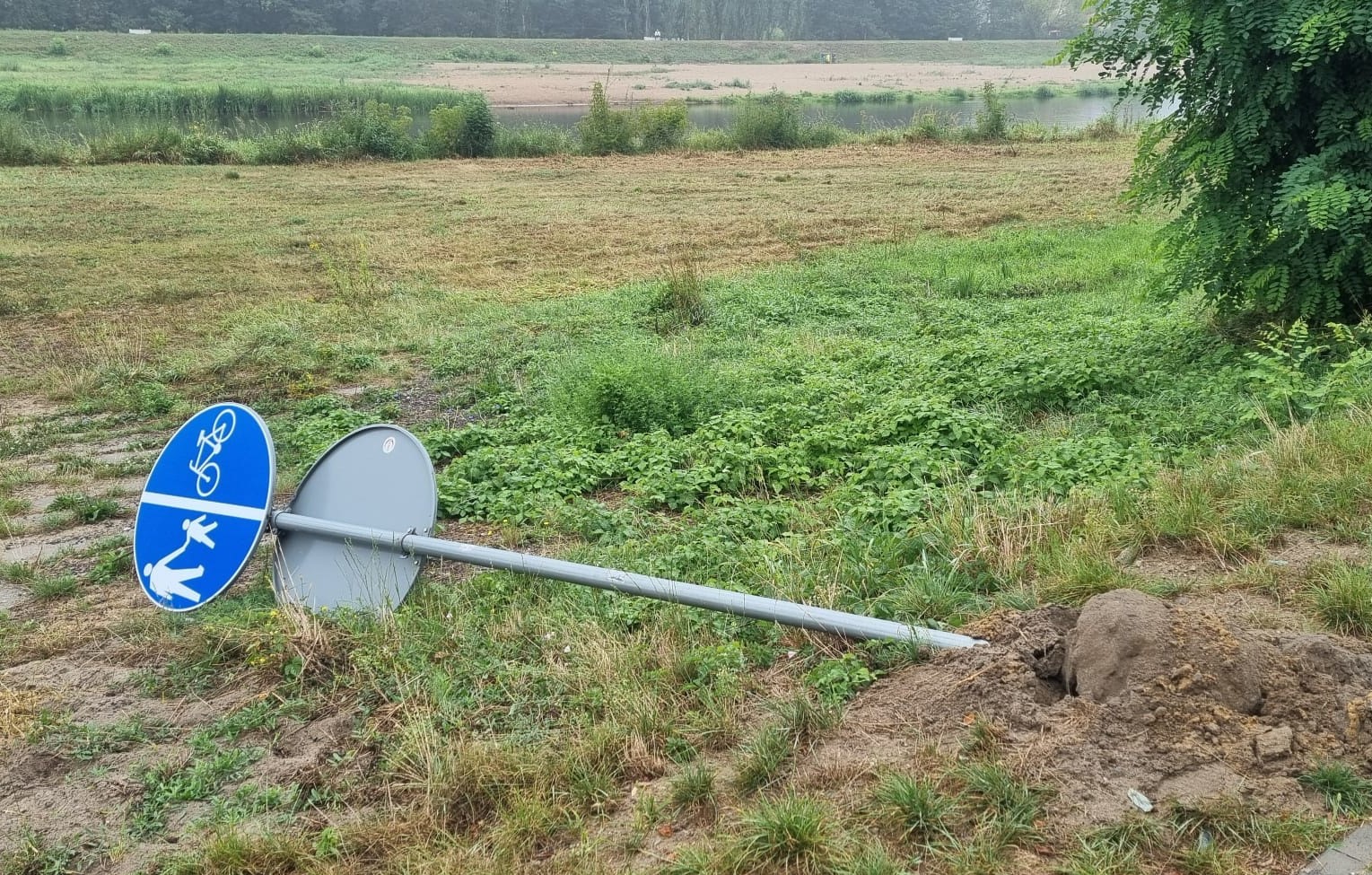 Seria wandalizmów w Sulejowie. Policja prosi o wsparcie