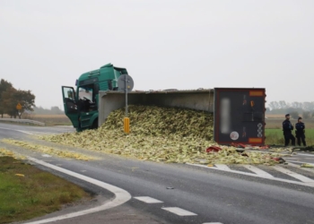 DK 92 zablokowana przez… kolby kukurydzy