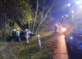 Wypadek pod Bełchatowem. Nie żyje 29-latka 4 62c266f8 df3d 4e5d b972 fe85bc390f7a