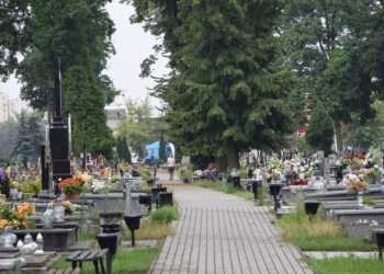 Cmentarna hiena w Zgierzu