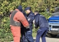 Ćwiczenia policyjnych psów służbowych nad Zalewem Sulejowskim