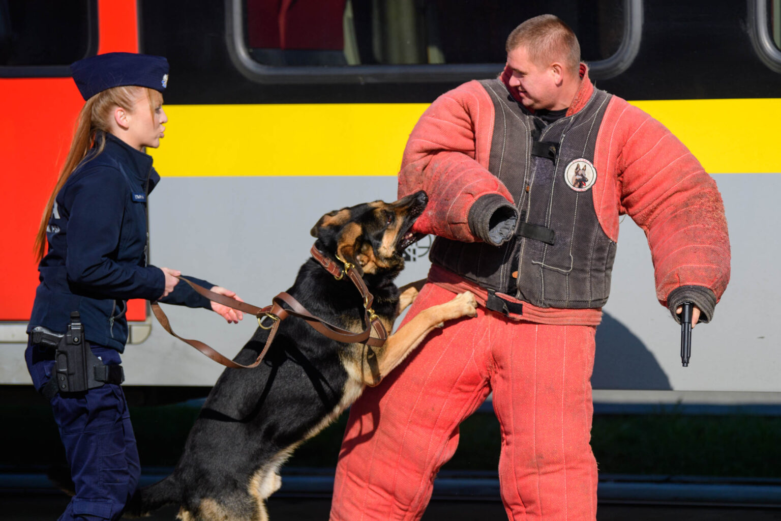 Ćwiczenia psów służbowych na kolei fot Sebastian Szwajkowski_31 Cwiczenia psow sluzbowych na kolei fot Sebastian Szwajkowski 31