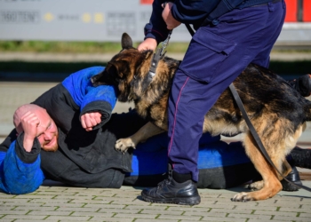 Strzały, napad i poszukiwanie narkotyków. Spokojnie, to tylko ćwiczenia!