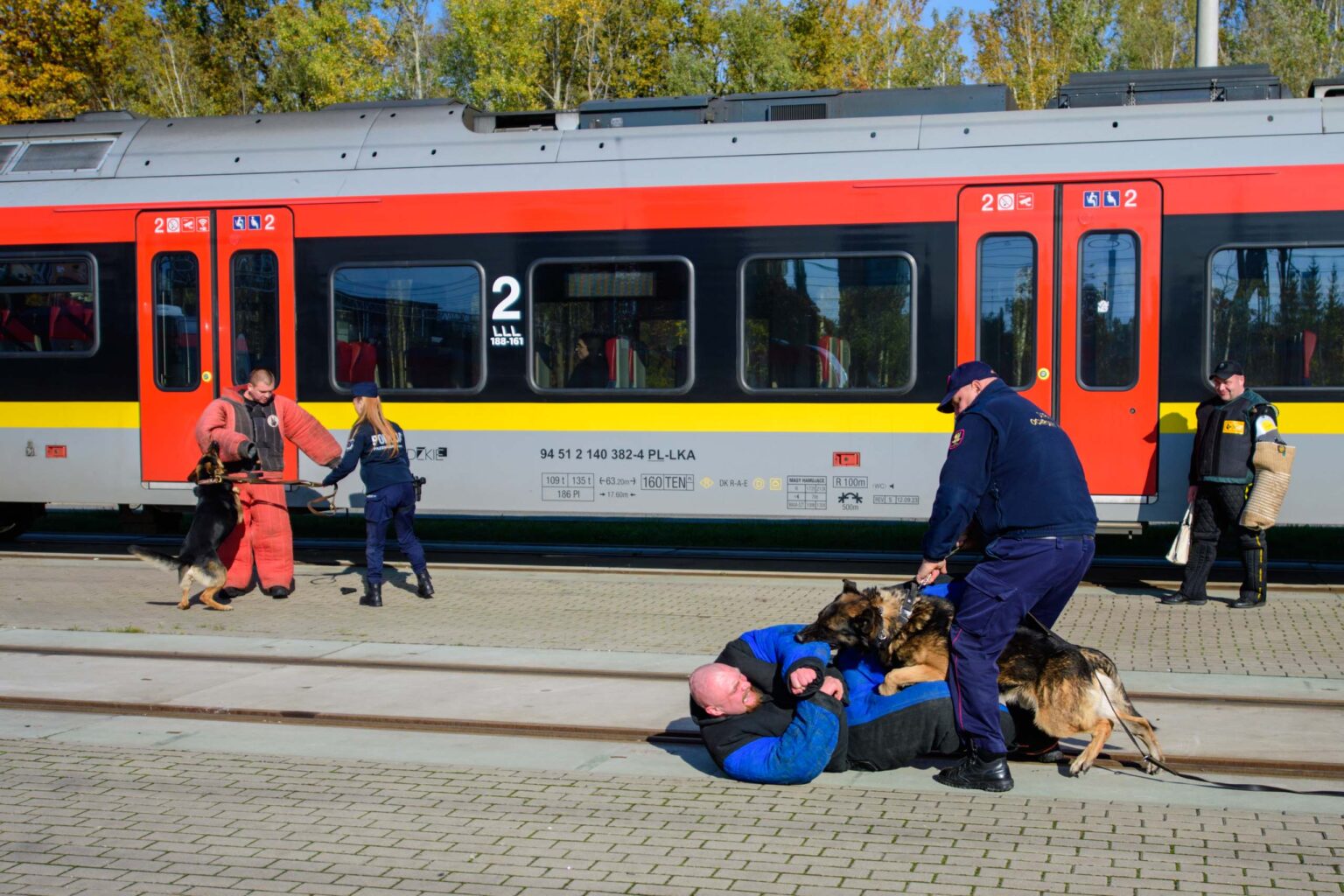 Ćwiczenia psów służbowych na kolei fot Sebastian Szwajkowski_7 Cwiczenia psow sluzbowych na kolei fot Sebastian Szwajkowski 7