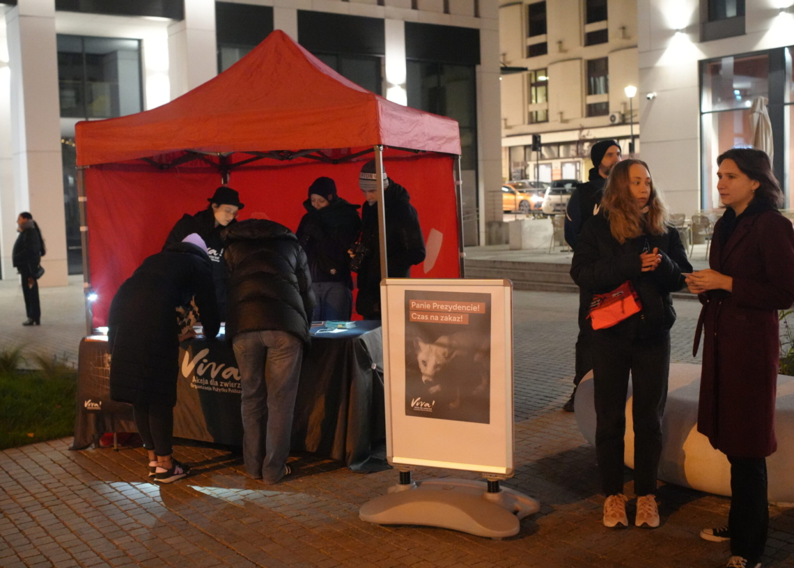 Fundacja Viva apeluje do prezydenta o niewetowanie zakazu hodowli zwierząt na futra. "Absolutne okrucieństwo"