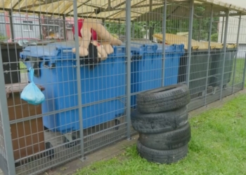 Zużyte opony są wrzucane do śmietników, choć powinny lądować w PSZOK