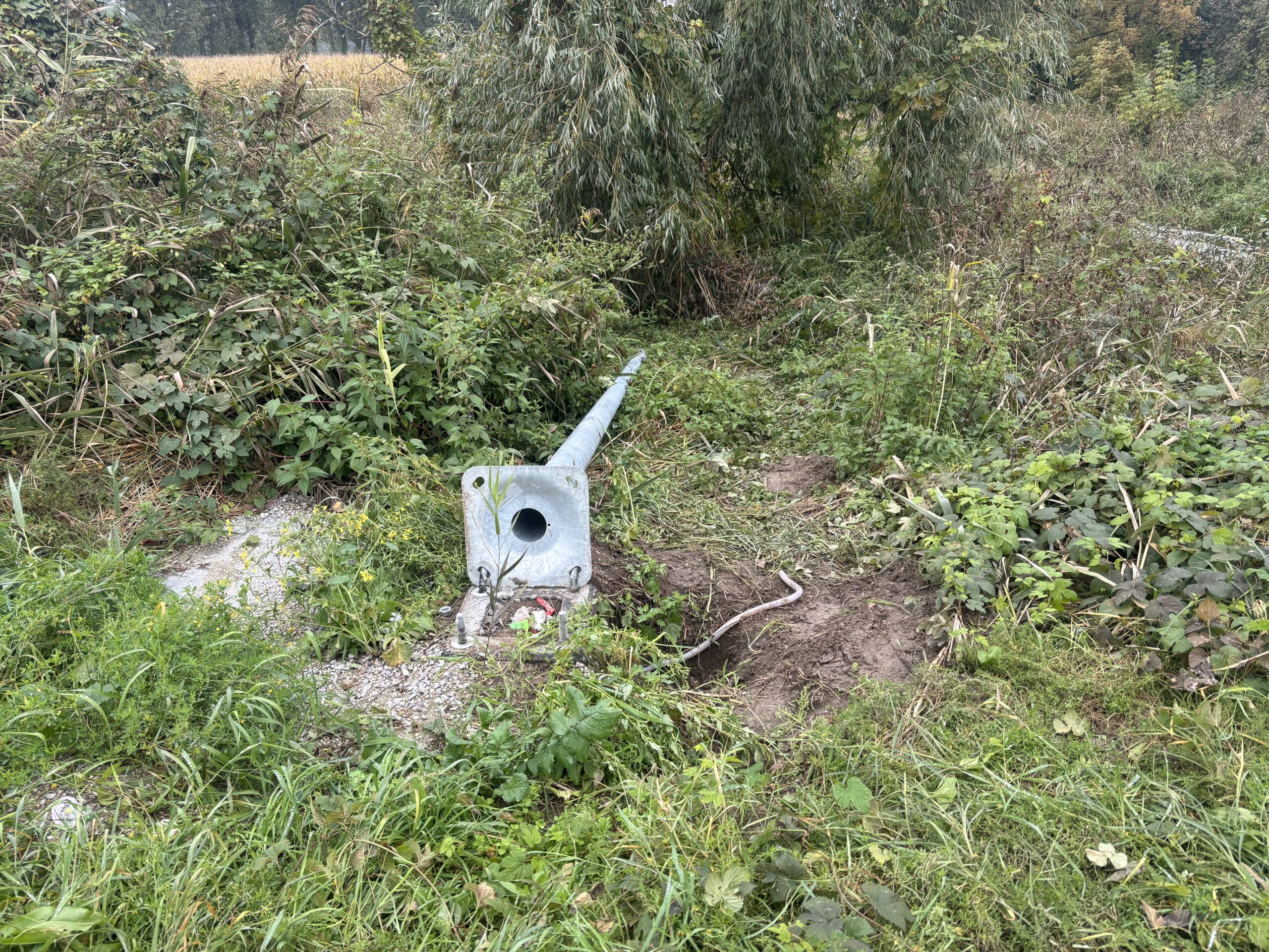Złodziej oświetlenia pod Ozorkowem 2 Złodziej oświetlenia pod Ozorkowem, fot. M. Warszawski