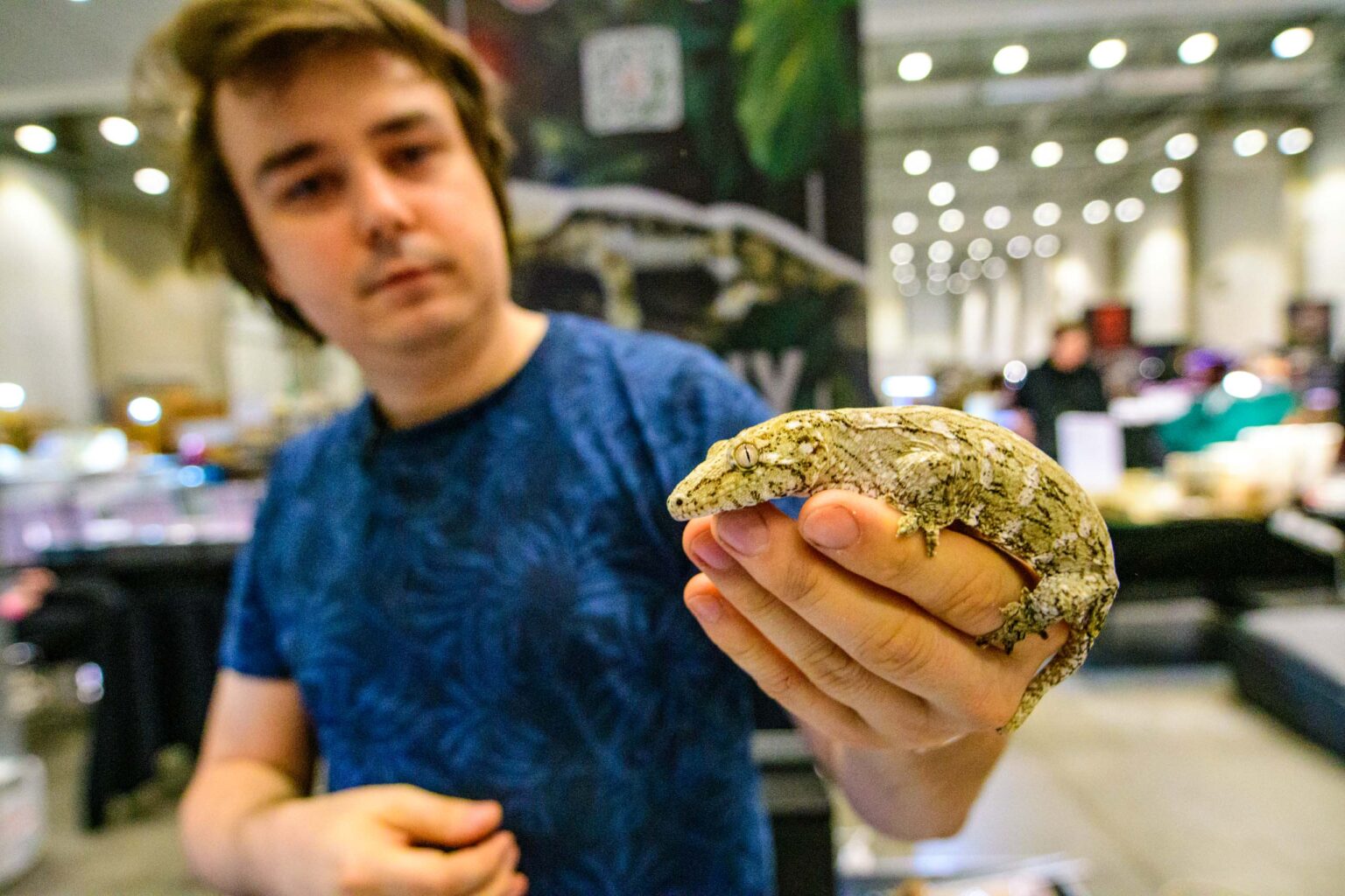 Targi zwierząt egzotycznych w Hali EXPO fot Sebastian Szwajkowski_10 Targi zwierzat egzotycznych w Hali EXPO fot Sebastian Szwajkowski 10