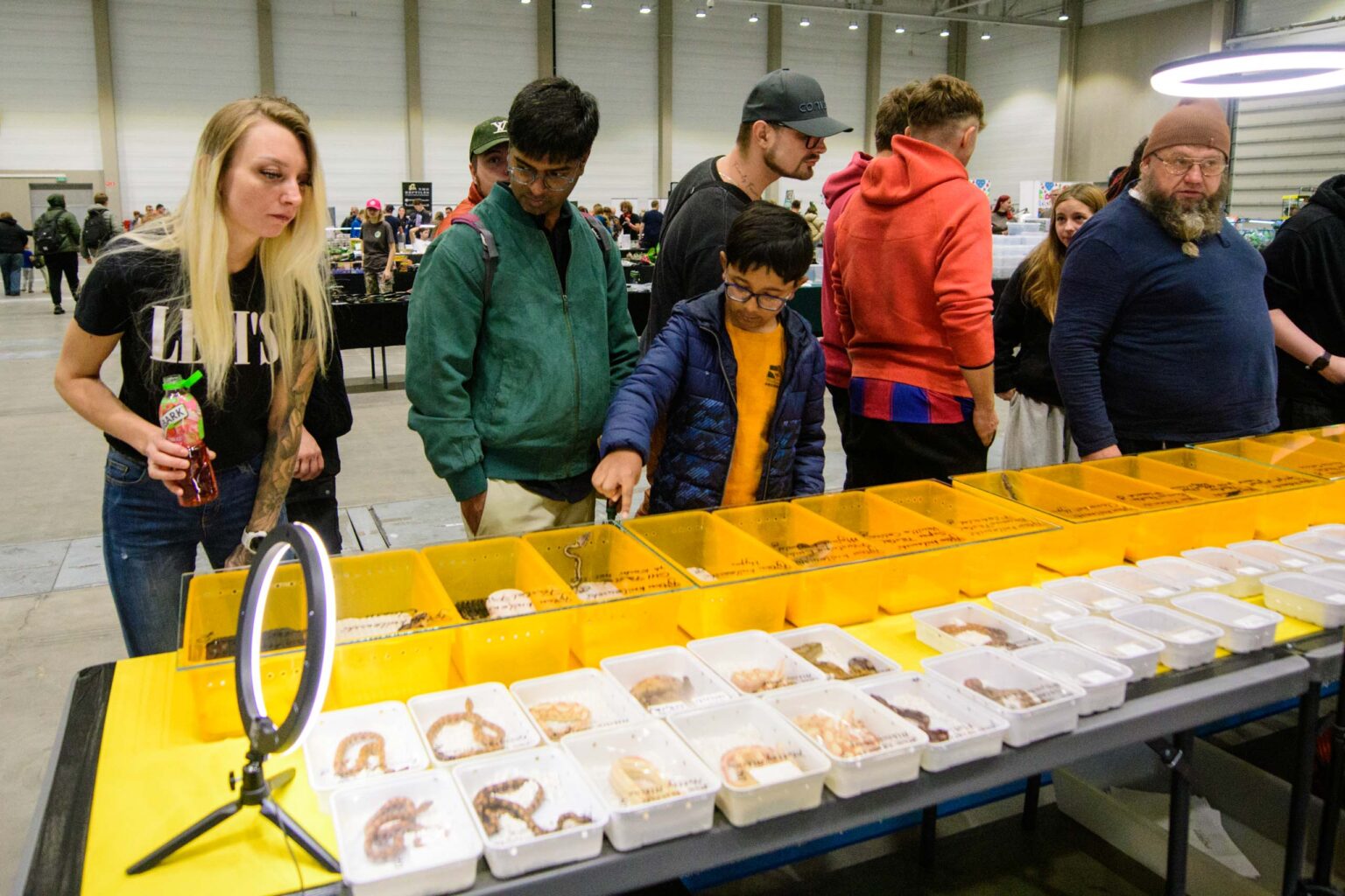 Targi zwierzat egzotycznych w Hali EXPO fot Sebastian Szwajkowski 8