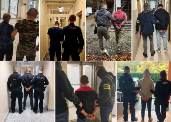 Wielka akcja policji. Zatrzymano 123 osoby, w tym 25 poszukiwanych listami gończymi