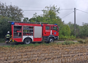 Tragedia w Świnicach Warckich. Zwęglone zwłoki w pustostanie