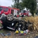 Dachowanie samochodu w powiecie kutnowskim. Nie żyje jedna osoba 8 Dachowanie samochodu w powiecie kutnowskim. Nie żyje jedna osoba