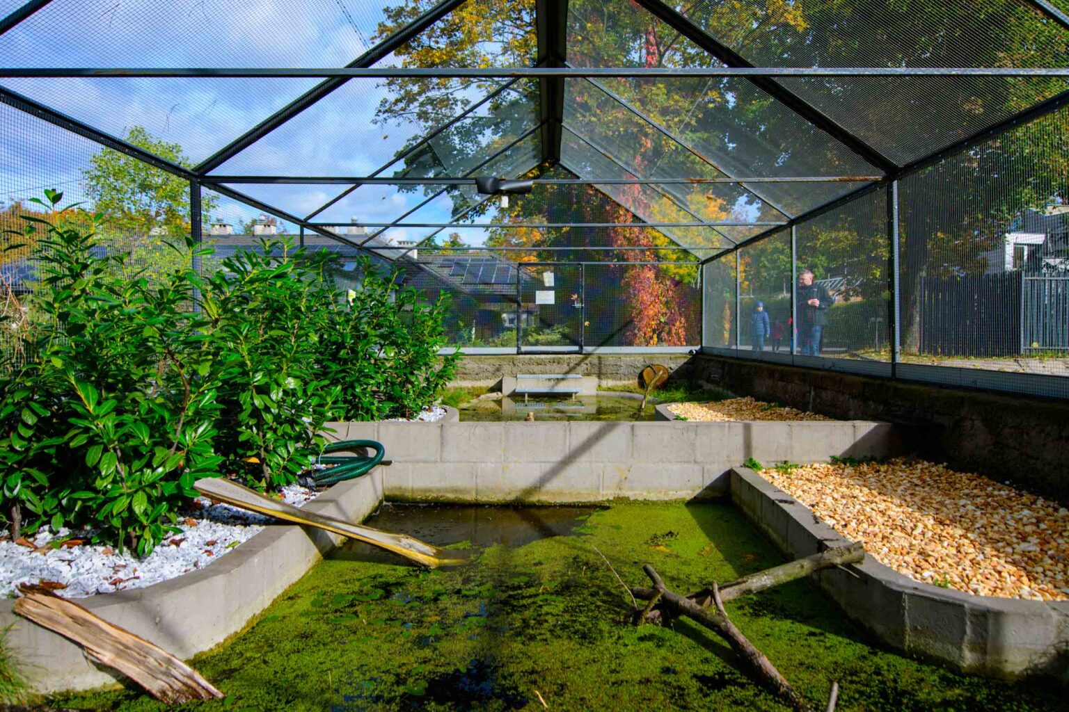 Żółwie Błotne w łódzkim zoo Fot Sebastian Szwajkowski_1 Zolwie Blotne w lodzkim zoo Fot Sebastian Szwajkowski 1