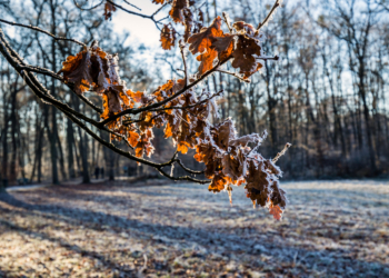 Pogoda na środę | W nocy mroźnie, w dzień zimno, ale z dawką słońca [PROGNOZA]