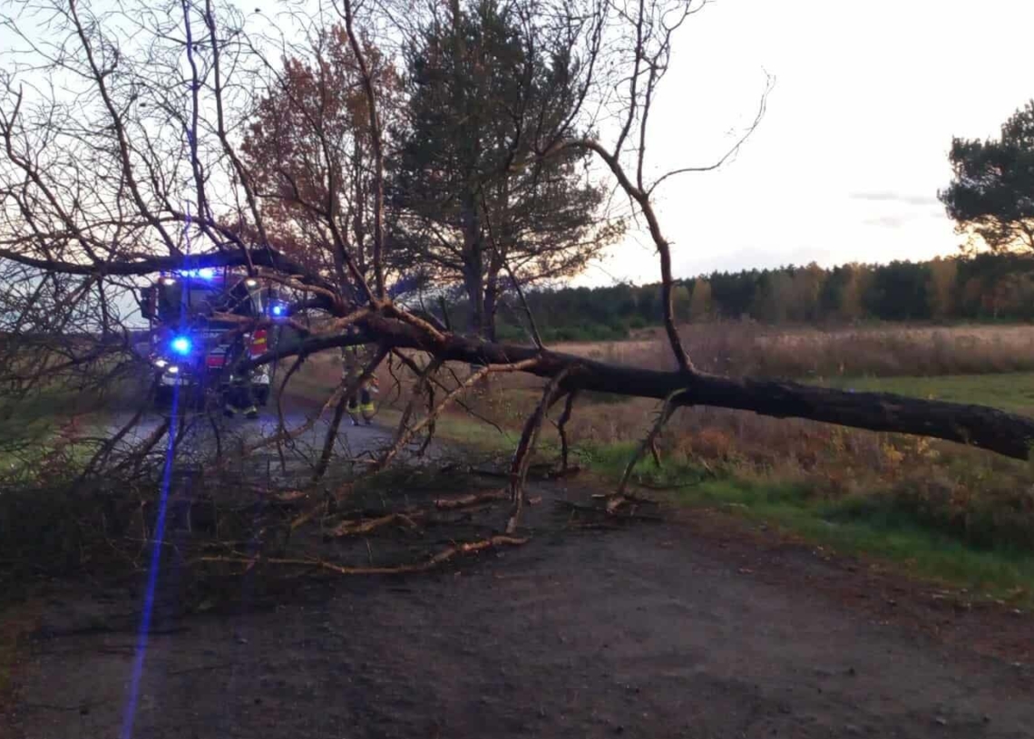 Silne wiatry w Łódzkiem. Ponad 100 zgłoszeń, dwa zerwane dachy