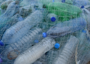 Wszechobecny plastik