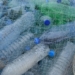 Wszechobecny plastik