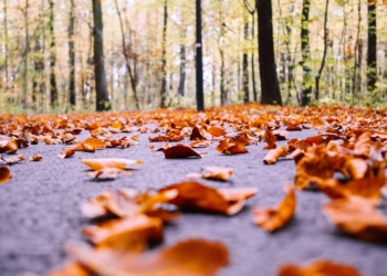 Pogoda na piątek | Przewaga chmur i temperatura powyżej 10 stopni Celsjusza [PROGNOZA]
