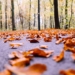 Pogoda na piątek | Przewaga chmur i temperatura powyżej 10 stopni Celsjusza [PROGNOZA]