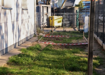 Schronisko dla Zwierząt w Łodzi wprowadza kolejne udoskonalenia