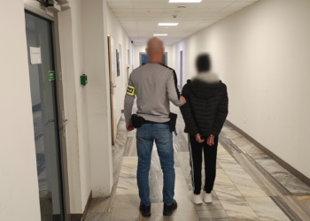 Piotrków Trybunalski: okradła chorą 5-letnią dziewczynkę. 48-latka w rękach policji