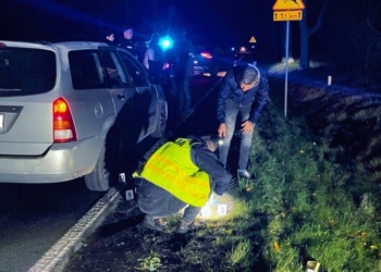 Seryjni włamywacze zatrzymani przez skierniewicką policję. Dwóch 47-latków trafiło do aresztu